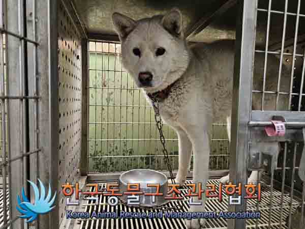 한국동물구조관리협회_441382202400767